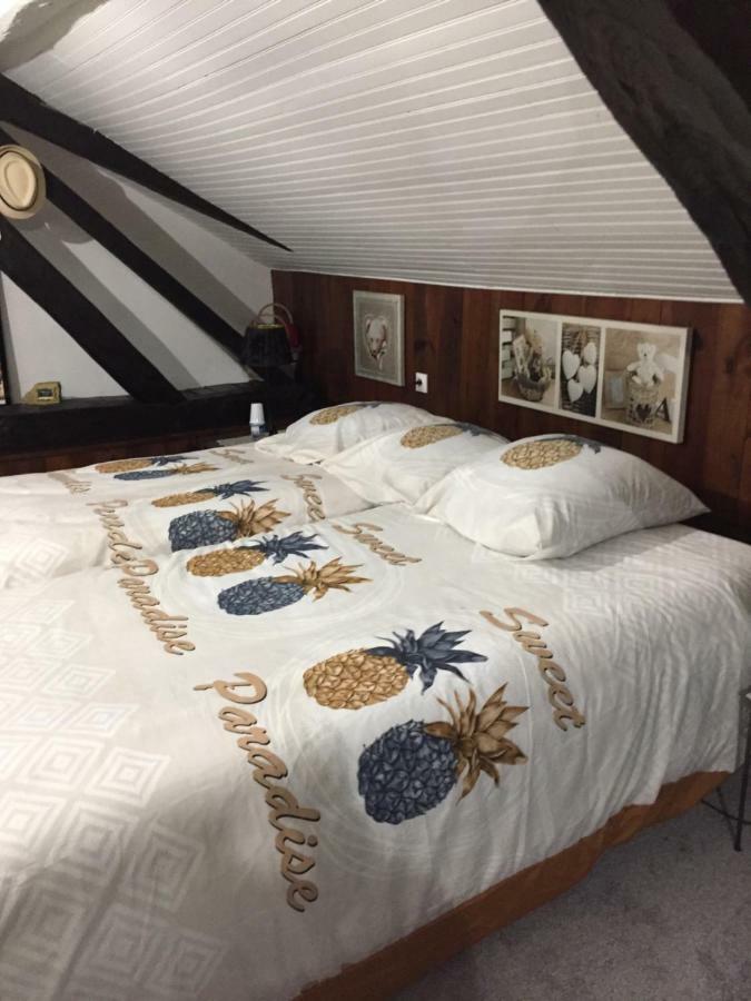 Maison Pres Du Circuit 24H Du Mans Арнаж Екстериор снимка